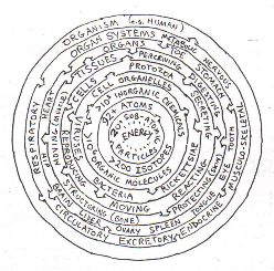 Organism Levels